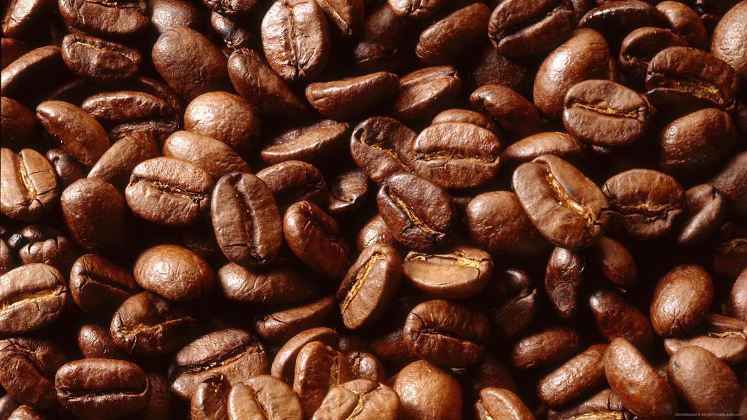 noticia O cultivo do café no Brasil
